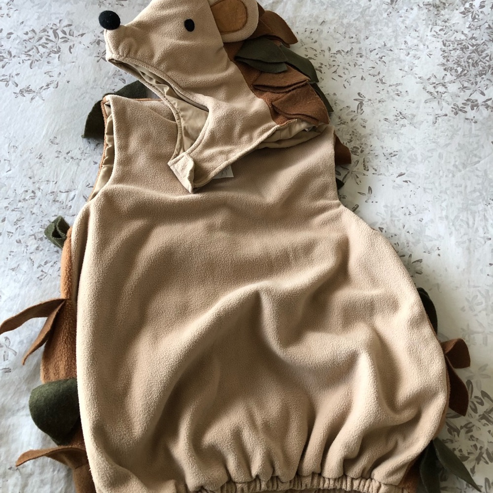 Pottery Barn Kids Hedgehog Costume
